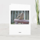 Betende Taube Karte (Rückseite)