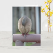 Betende Taube Karte (Gelbe Blume)