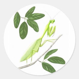 Betender Mantis-Aufkleber Runder Aufkleber