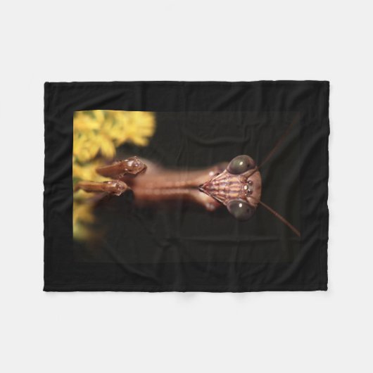 betender Mantis Fleecedecke (Vorderseite (Horizontal))