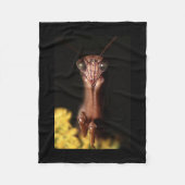 betender Mantis Fleecedecke (Vorderseite)