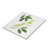 Betender Mantis-Fliese Fliese (Seite)