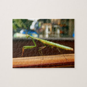 Betender Mantis-Foto-Puzzlespiel mit Geschenkboxen Puzzle