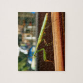 Betender Mantis-Foto-Puzzlespiel mit Geschenkboxen Puzzle (Vertikal)