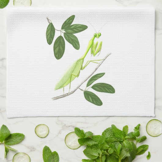 Betender Mantis-Geschirrtuch Handtuch (Gefaltet)