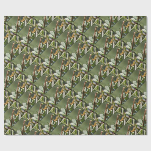 Betender Mantis-Insekt Geschenkpapier (Flach)