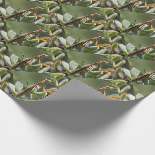 Betender Mantis-Insekt Geschenkpapier (Ecke)