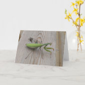 Betender Mantis Karte (Gelbe Blume)