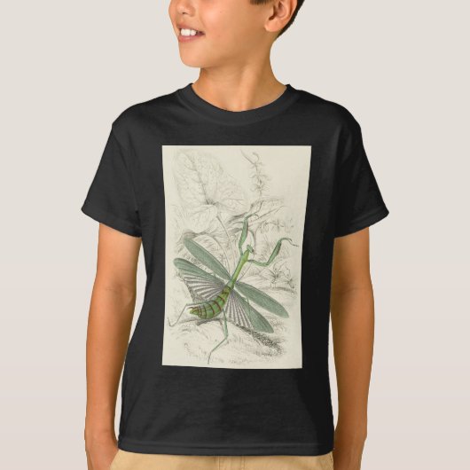 Betender Mantis, Mantis Religiosa T-Shirt (Vorderseite)