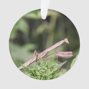 Betender Mantis Ornament