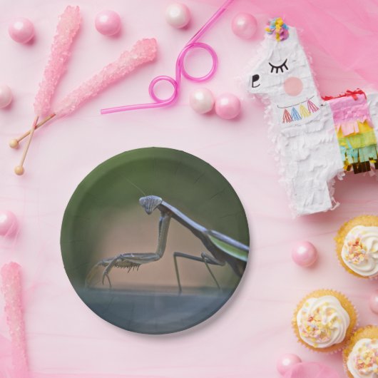 Betender Mantis-Pappteller Pappteller (Party)