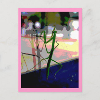 Betender Mantis Postkarte
