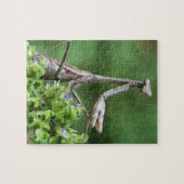 betender Mantis Puzzle (Horizontal)