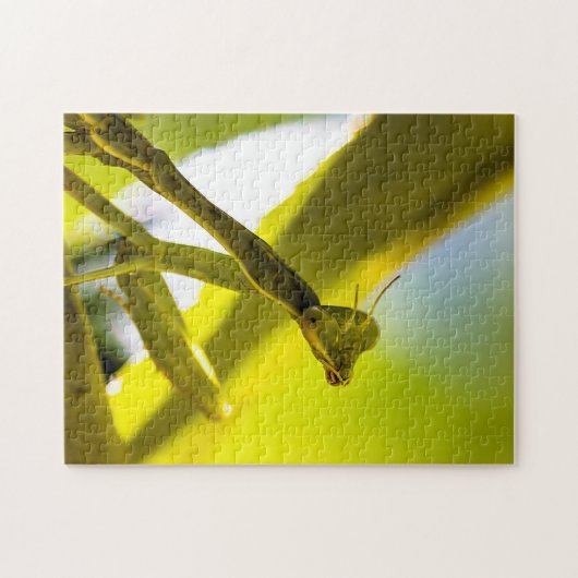 Betender Mantis-Puzzle Puzzle (Horizontal)