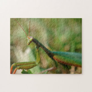 Betender Mantis, Puzzlespiel des Foto-11x14 mit Puzzle