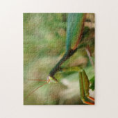 Betender Mantis, Puzzlespiel des Foto-11x14 mit Puzzle (Vertikal)