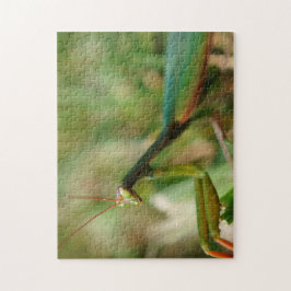 Betender Mantis, Puzzlespiel des Foto-11x14 mit Puzzle