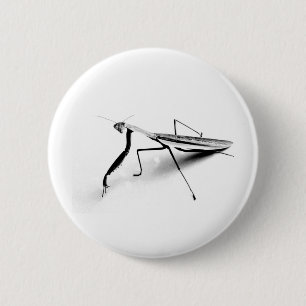Betender Mantis-Sammlung Button