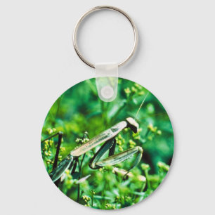 Betender Mantis Schlüsselanhänger