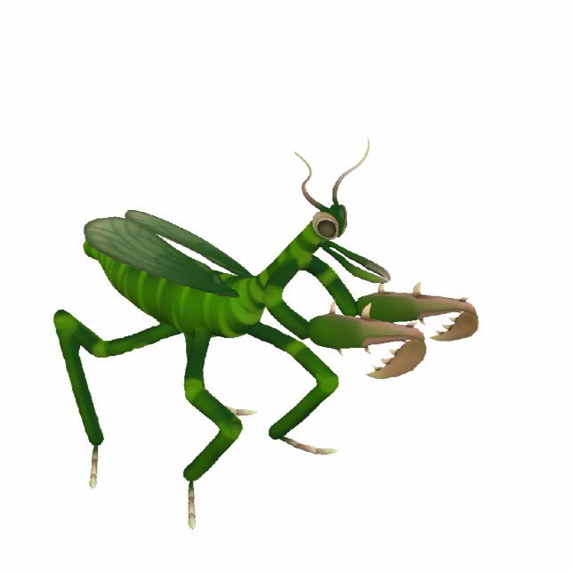 Betender Mantis-Skulptur Freistehende Fotoskulptur (Vorne)