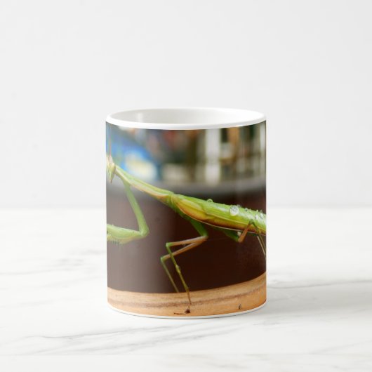 Betender Mantis-Wanzen-Tasse Kaffeetasse (Mittel)