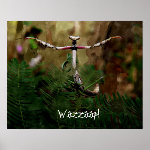 Betender Mantis Wazzaap! Poster