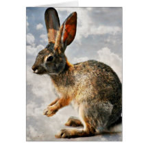 Betendes Häschen in den Himmeln