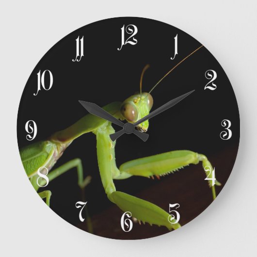 Betendes mantid große wanduhr (Vorderseite)