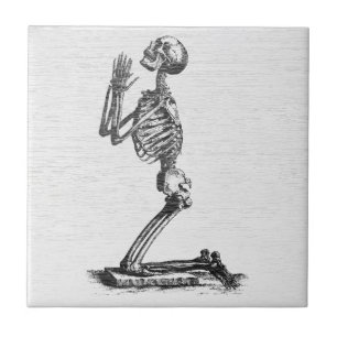 Betes Skelett - Vintage Anatomische Kunst Fliese