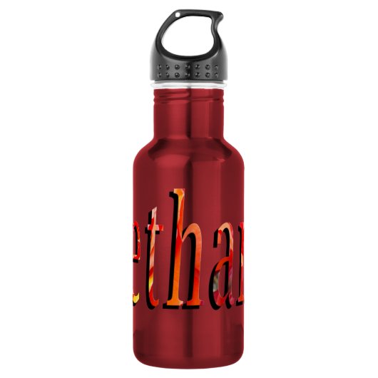 Bethany Girls Name Logo, Edelstahlflasche (Vorderseite)