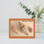 Bethany Muscheln Postkarte (Stehend Vorderseite)