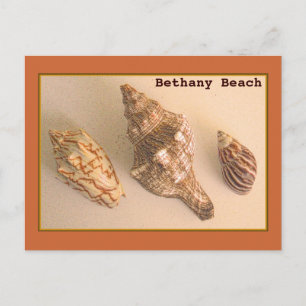 Bethany Muscheln Postkarte