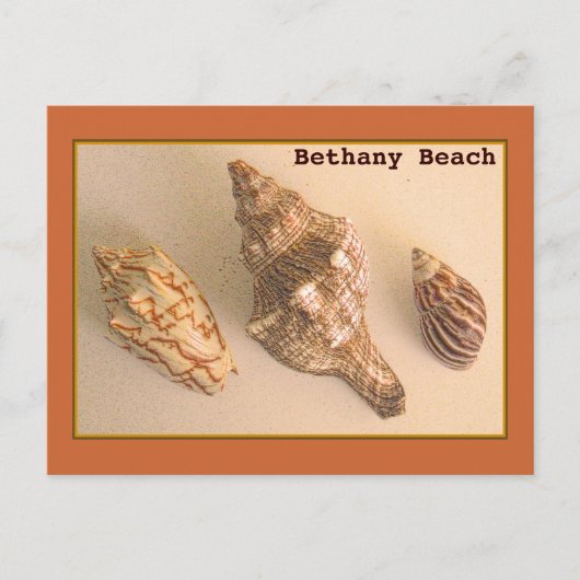 Bethany Muscheln Postkarte (Vorderseite)