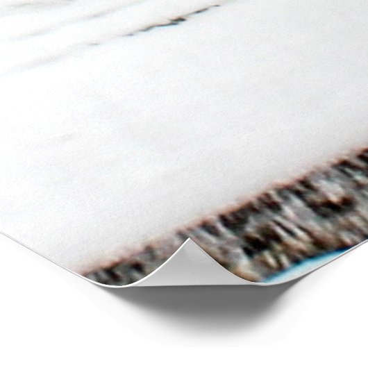 Bethesda Fountain im Central Park Foto Poster (Ecke)