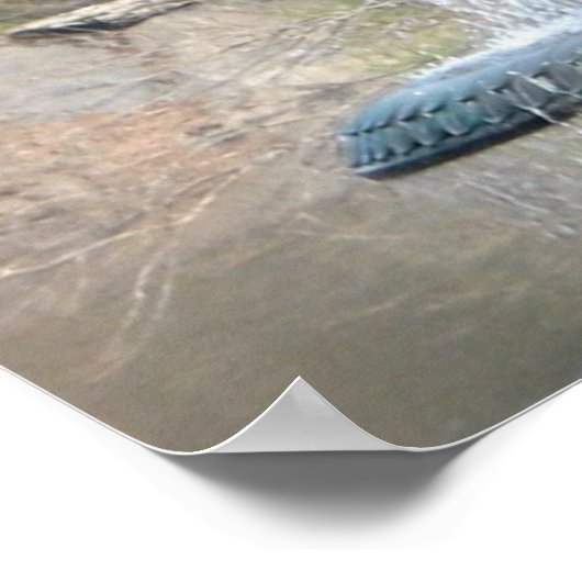 Bethesda Fountain Poster (Ecke)