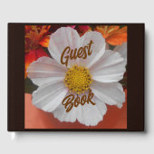 Bethune Gästebuch (Vorderseite)