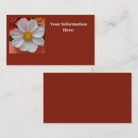 Bethune Visitenkarte (Vorne/Hinten)