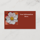 Bethune Visitenkarte (Vorderseite)