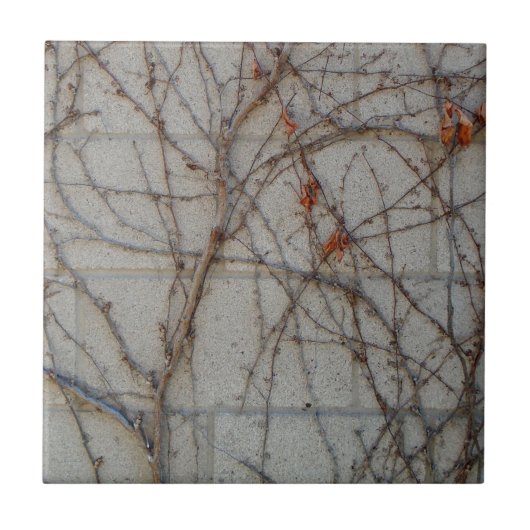 Betonblock-Wand mit Reben Fliese (Vorderseite)