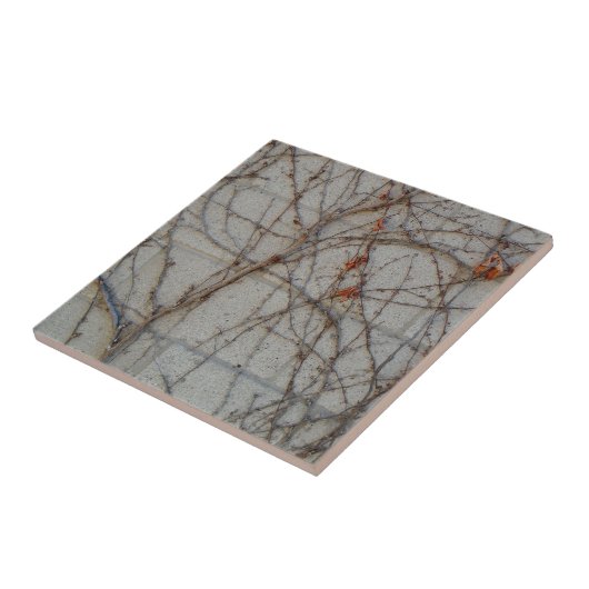 Betonblock-Wand mit Reben Fliese (Seite)