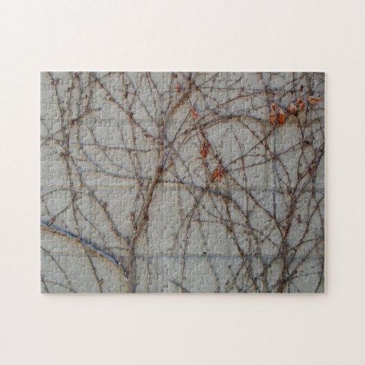 Betonblock-Wand mit Reben Puzzle (Horizontal)