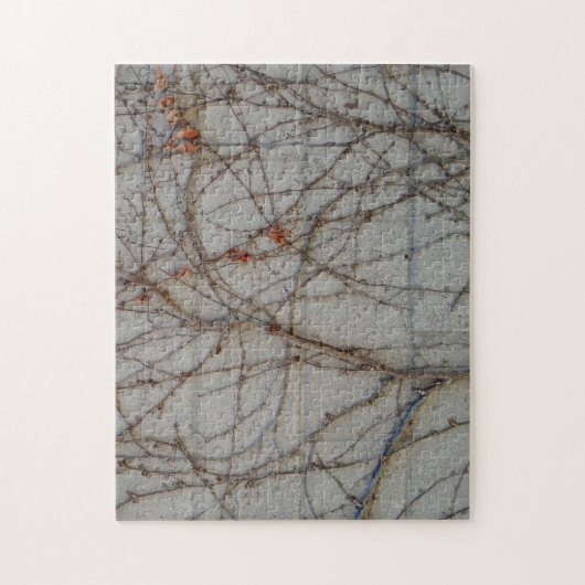 Betonblock-Wand mit Reben Puzzle (Vertikal)