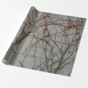 Betonblockwand mit Reben Geschenkpapier