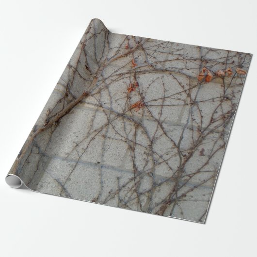 Betonblockwand mit Reben Geschenkpapier (Ungerollt)