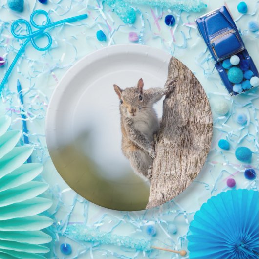 Betrachten Sie! Eichhörnchen-PapierTeller Pappteller (Party)