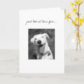 betrachten Sie einfach dieses Gesicht ..... Karte (Gelbe Blume)