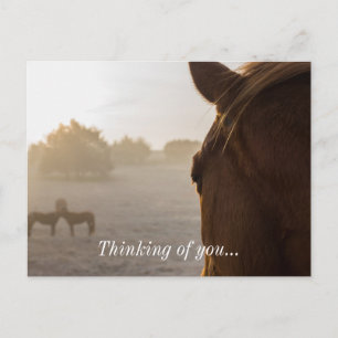 Betrachten Sie Ihre Postkarte weiter