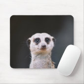 Betrachten Sie mich? Meerkat Mousepad (Mit Mouse)