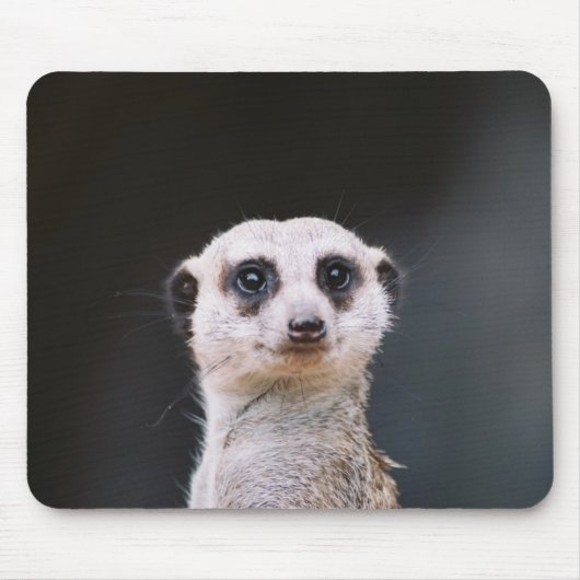 Betrachten Sie mich? Meerkat Mousepad (Vorne)