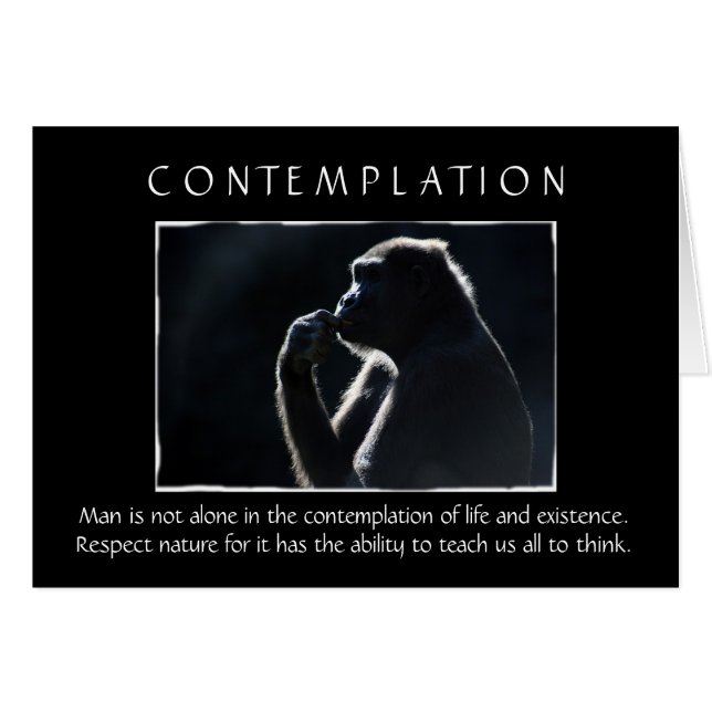 Betrachtung (Vorderseite (Horizontal))